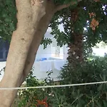 Tatsis * ماسوري